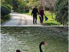 -长白岛森林公园