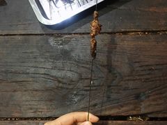 -清真·马峰烤肉(小学习北巷店)