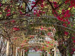 -邛海宾馆·玉鸥楼中餐厅