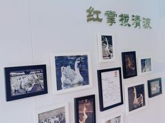 -卤鹅鲜生(卤鹅鲜生万科金域悦府店)