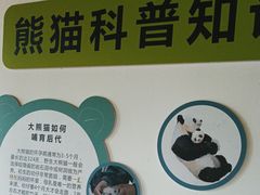 -宁波野生动物园