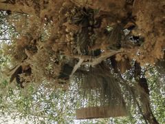 -悦哉·派对·草坪婚礼·围炉煮茶(三圣乡店)