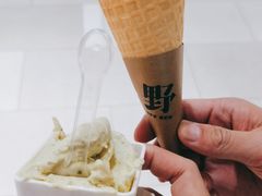 -野人先生现做冰淇淋(北京环宇荟店)