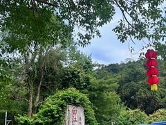 -广州白江湖森林公园