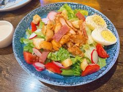 Famous考伯沙拉-Famous肥猫墨西哥音乐餐吧(五棵松华熙LIVE店)