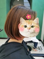 -a·f one hair salon