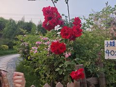 -中家鑫园温泉酒店鑫悦汤泉