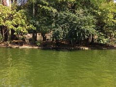 -深圳野生动物园