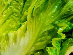 -粤潮牛肉火锅店(江南大道店)