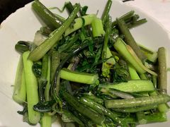 红菜苔-壹盏灯(惠农店)