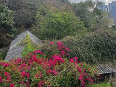 -小南山公园