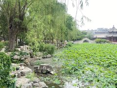 -莲池书院博物馆