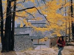 -秦岭风景区