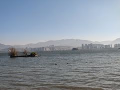 -洱海月湿地公园