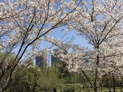 -石湖景区