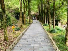 -巧手推拿中心(盲人推拿)