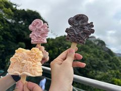 -亚龙湾热带天堂森林公园