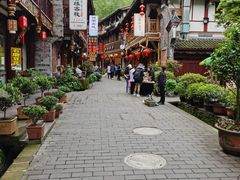 -龙翔山庄雷鸡肉(青城后山泰安古镇店)