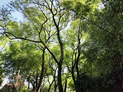 -晓港公园