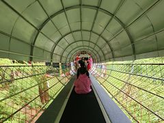-南武当山景区