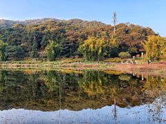 -广州市石门国家森林公园