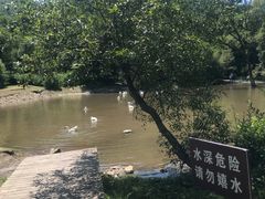 -大水川景区