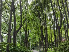-美兰湖景区