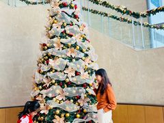 -Plush大堂酒廊(北京金融街威斯汀大酒店)