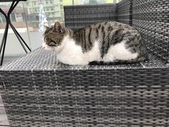 -UNI UNI(环亚凯瑟琳店)