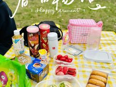 -上海滨江森林公园