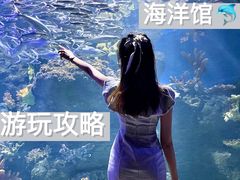 -华夏文旅海洋公园