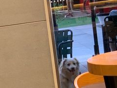 -星巴克(深圳龙岗广百店)