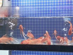 -盱眙小龙虾(天虹店)
