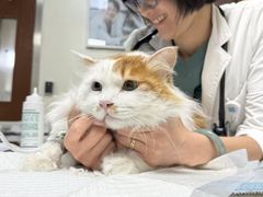 -美联众合动物医院·24h转诊中心