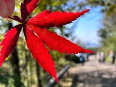 -丹山赤水风景名胜区
