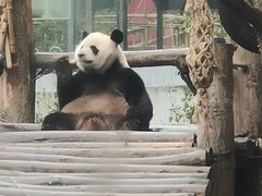 -黔灵山公园