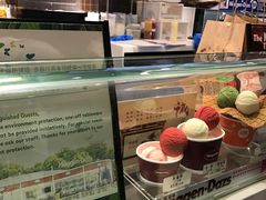 -哈根达斯(陆家浜路店)