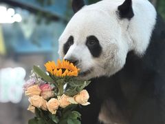 -栾川竹海野生动物园