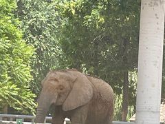 -石家庄市动物园