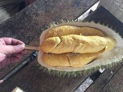 -宝盛园民宿