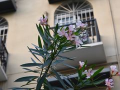 -沙面人才休闲岛