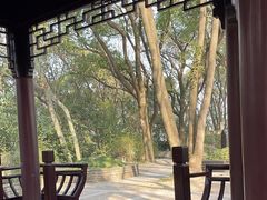 -上海佘山国家森林公园天马山园