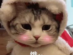 -河风精致寿司(尼盛店)