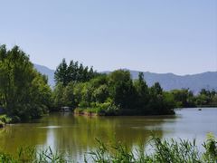 -翠湖国家城市湿地公园