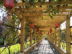 -中家鑫园温泉酒店鑫悦汤泉