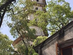 -江心屿景区