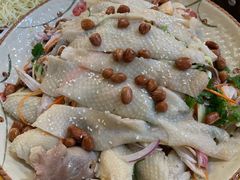 手撕鸡-洞密园美食城(富华路店)