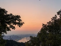 -南山植物园