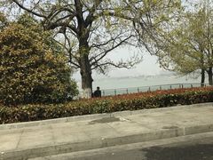 -百味地锅鸡(二店·财校分店)