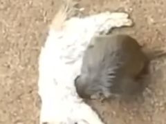 -昆明动物园